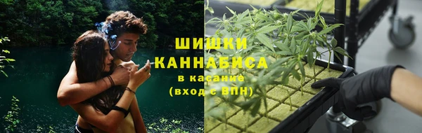 сатива Алзамай
