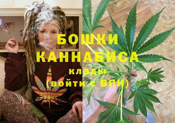 сатива Алзамай